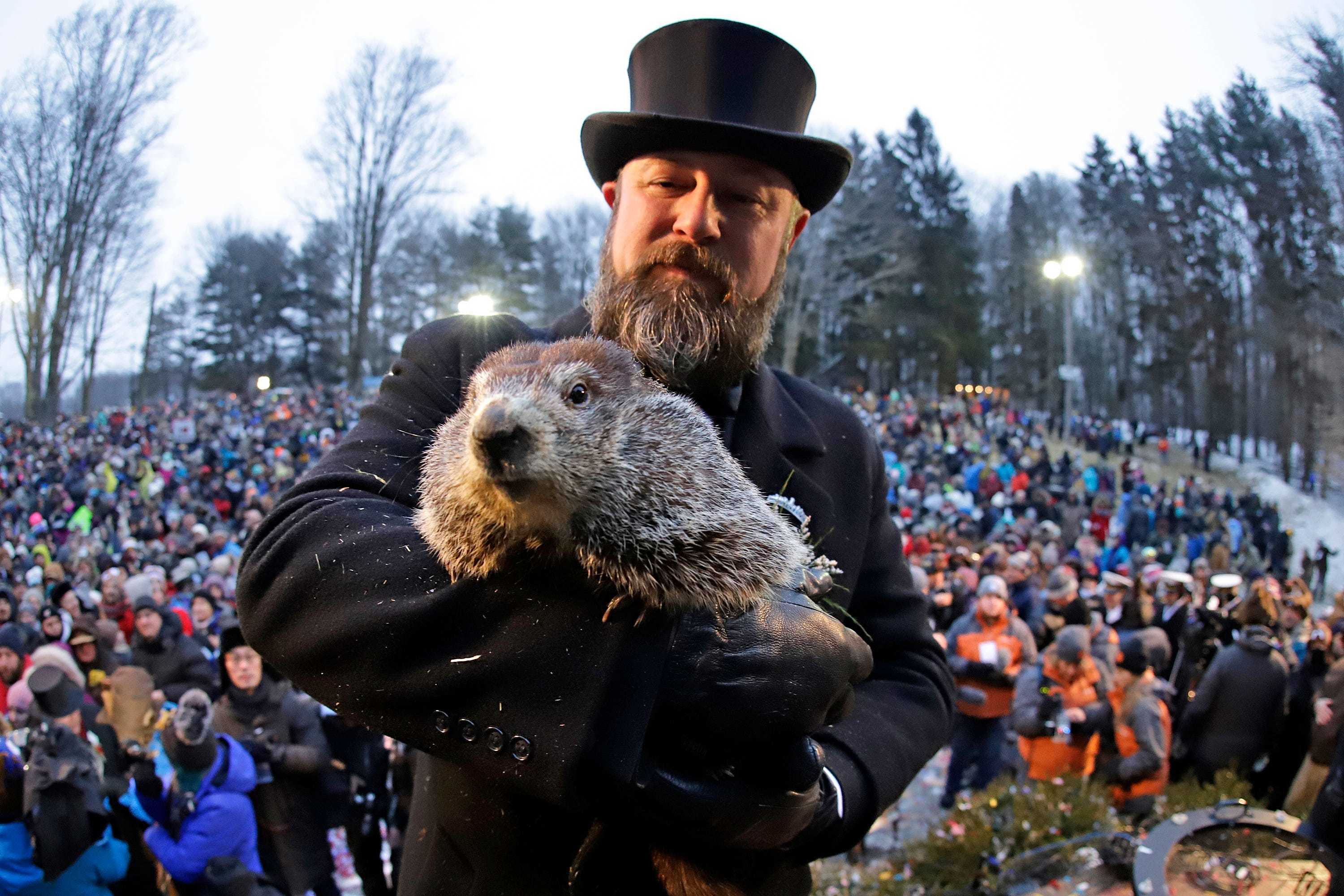 Groundhog Day 2020: No shadow means early spring! Unless it doesn't